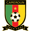 Cameroun Monde 2022 Hommes